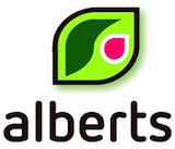 Alberst Lupine